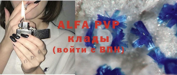 гашик Корсаков