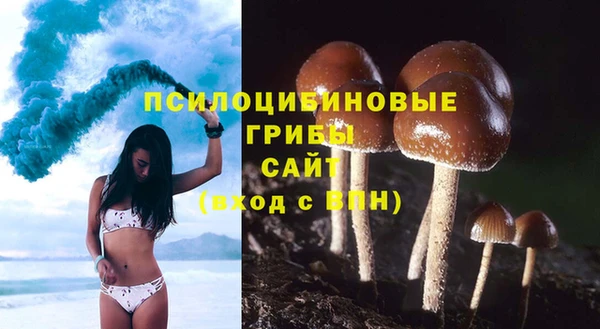 а пвп мука Белокуриха